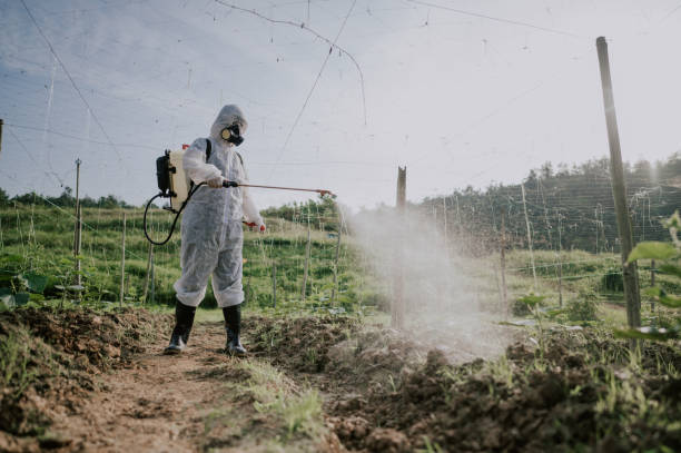 Best Mosquito Control Services  in Pewee Valley, KY