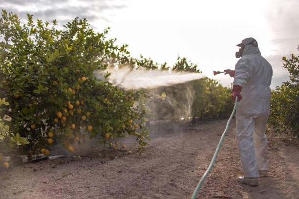 Best Mosquito Control Services  in Pewee Valley, KY