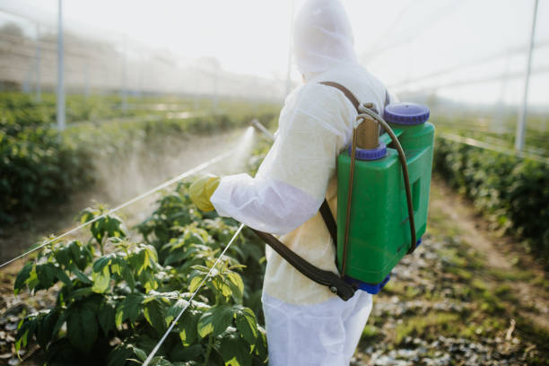 Best Wasp Removal Services  in Pewee Valley, KY